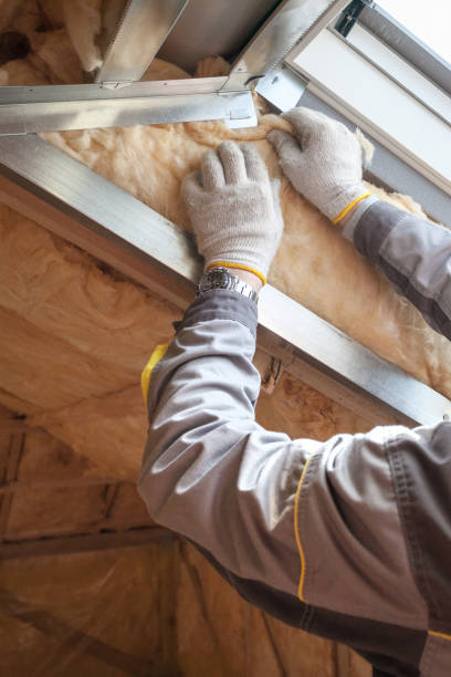 Best Insulation Installation Services in North Zanesville, OH