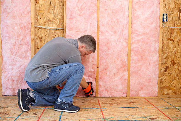 Best Insulation Materials and Products in North Zanesville, OH